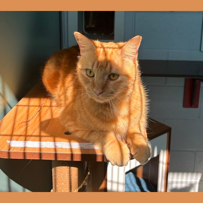 Photo of Fred
