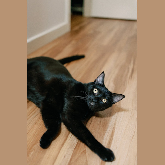 Photo of Percy
