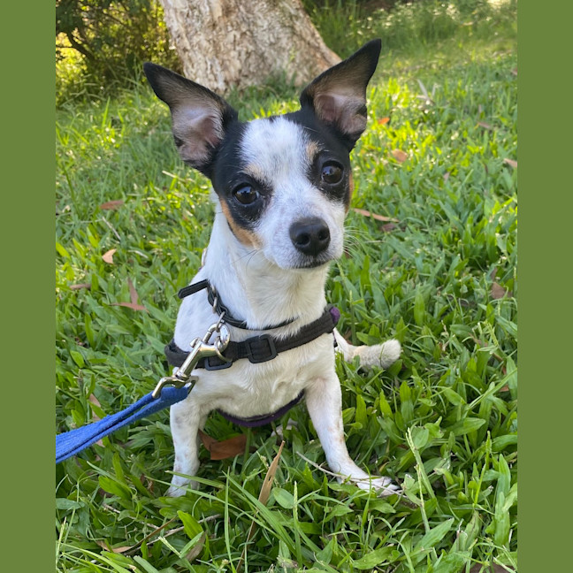 Photo of Doug