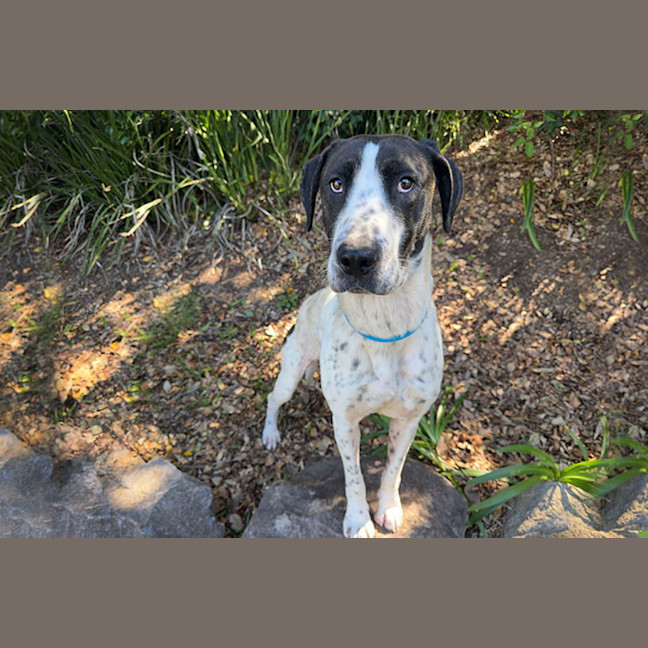 Photo of Isadora