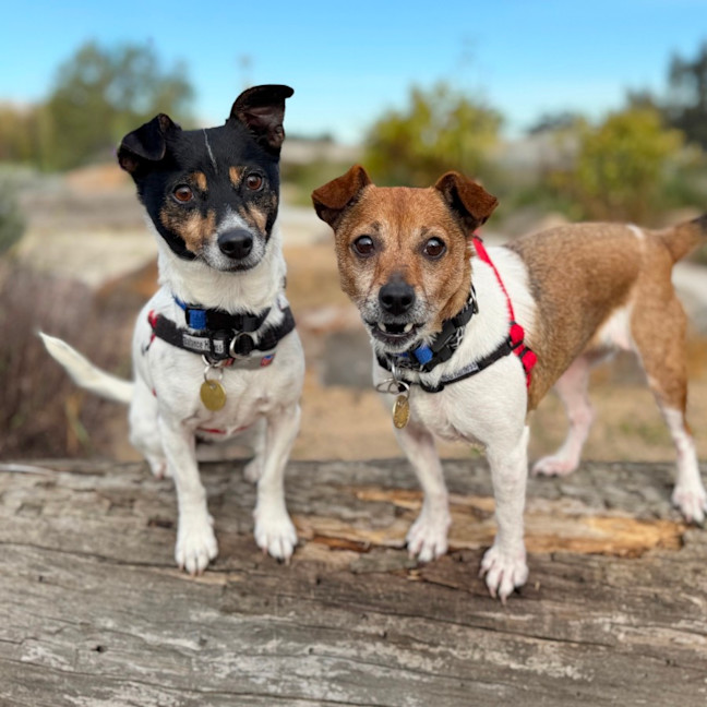 Photo of Molly & Snoop