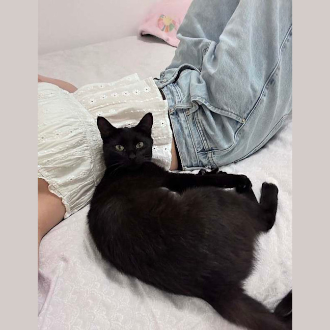 Photo of Soxie