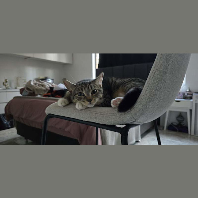 Photo of Hazel