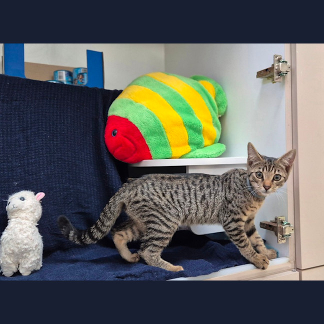 Photo of Polly (8966)