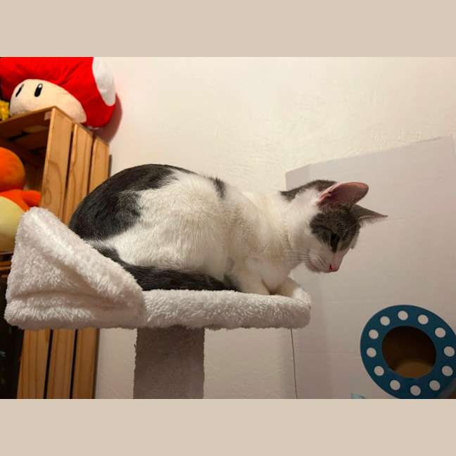 Photo of Billy