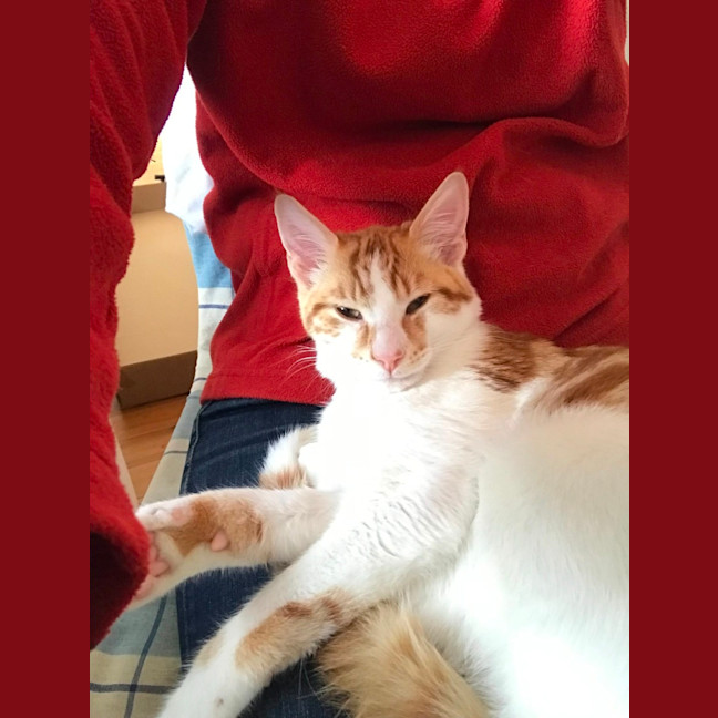 Photo of Max And Milo