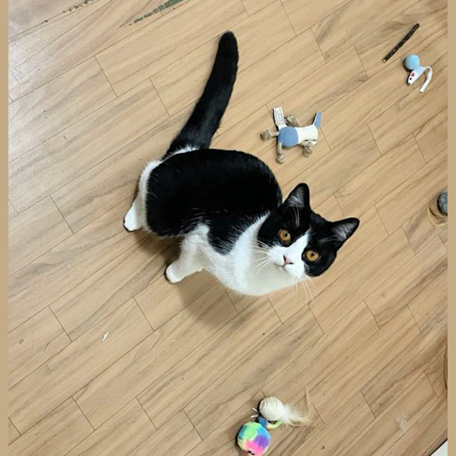 Photo of 🍀Blanaid🍀