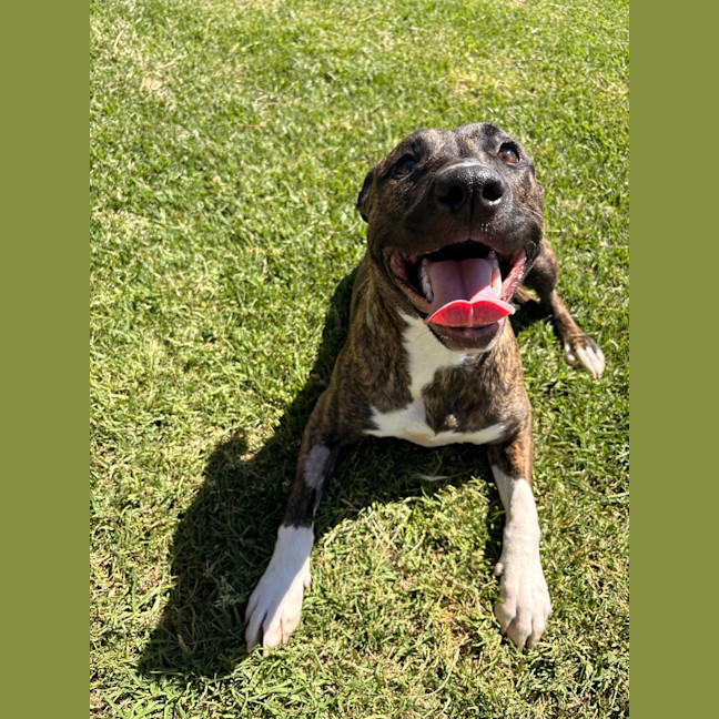 Photo of Lila 