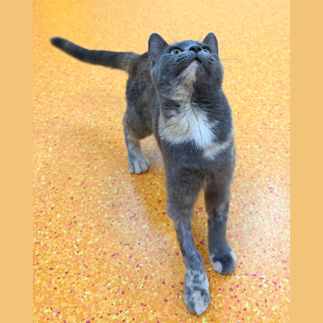 Photo of Maybelle