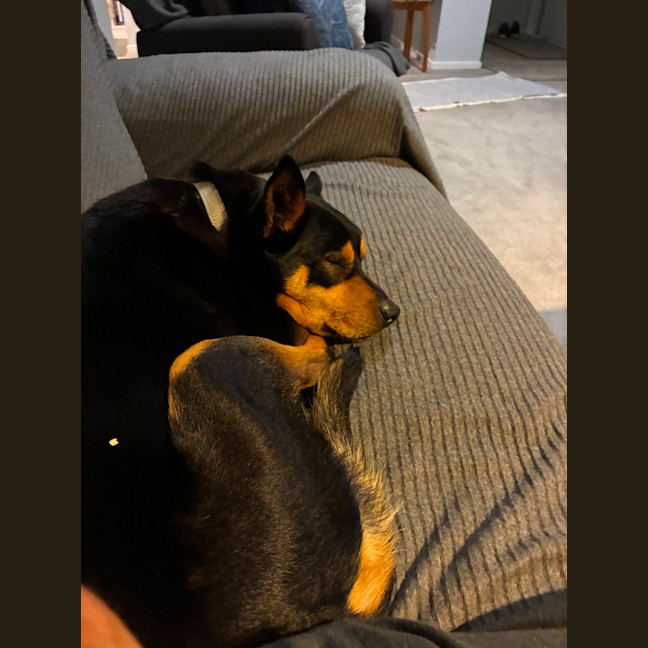 Photo of Ponzi