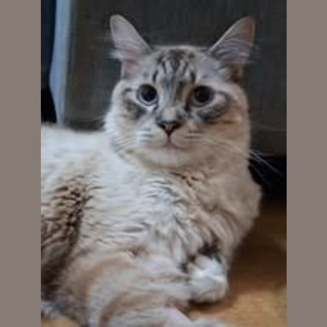 Photo of Sailor