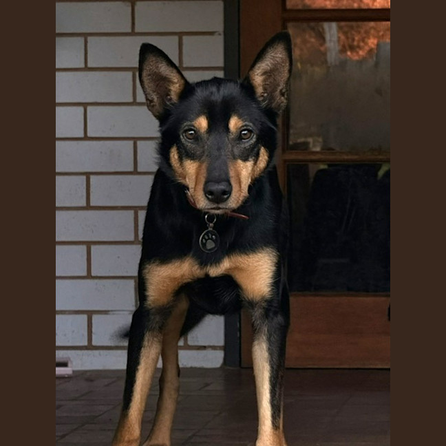 Photo of Didg