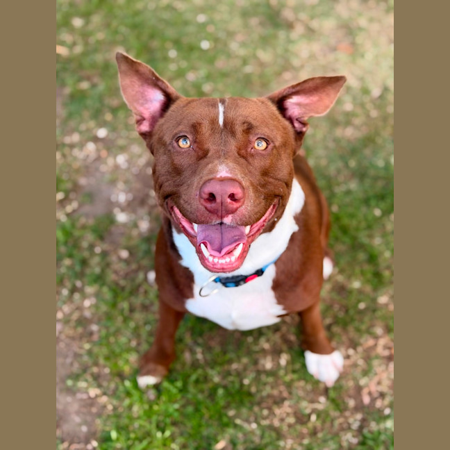 Photo of Zeus