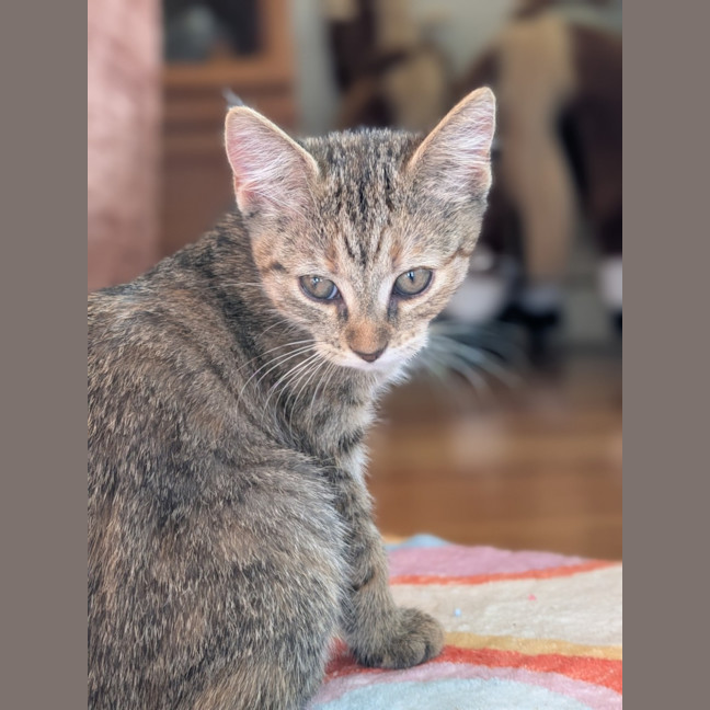 Photo of Rookie