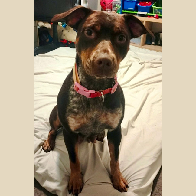 Photo of Delta