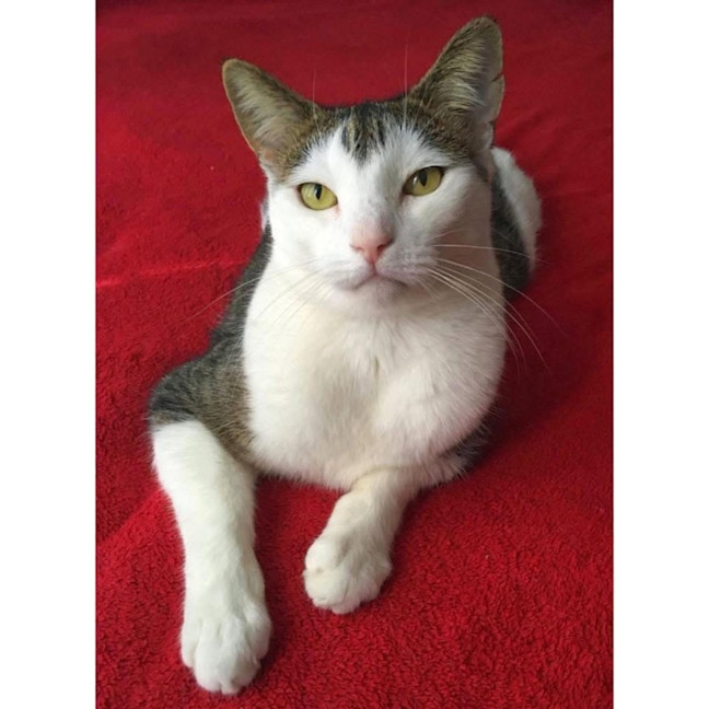 Photo of 10099   Riddick