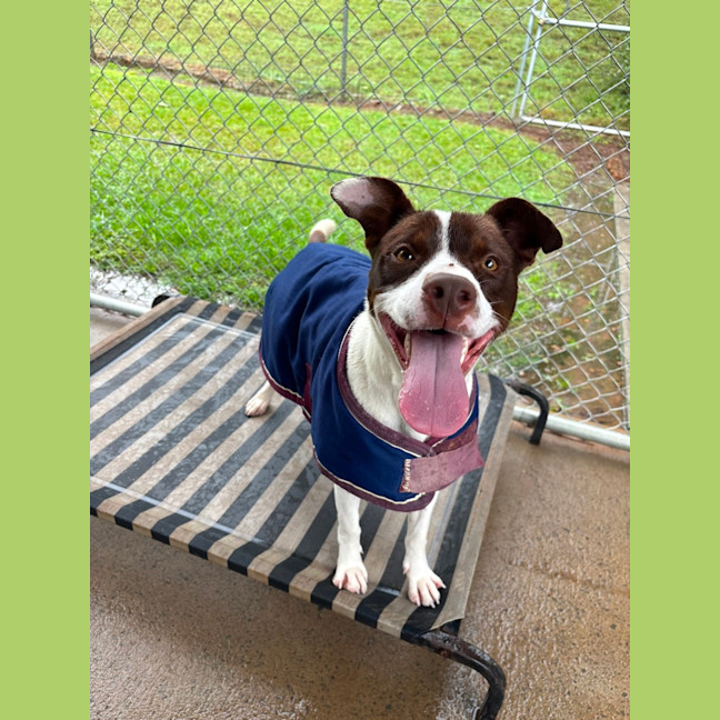 Photo of Penny