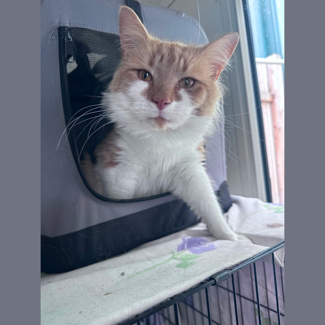 Photo of Zuko