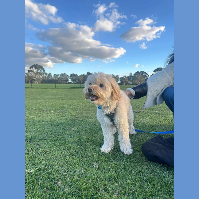 Photo of Asher