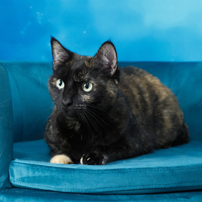 Photo of Elodie