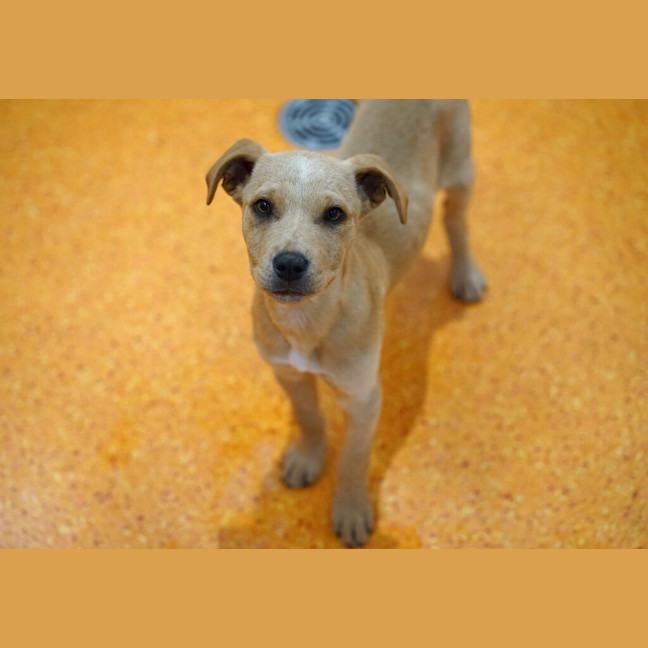 Photo of Tigger