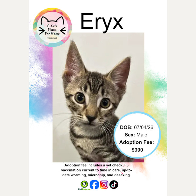 Photo of Eryx