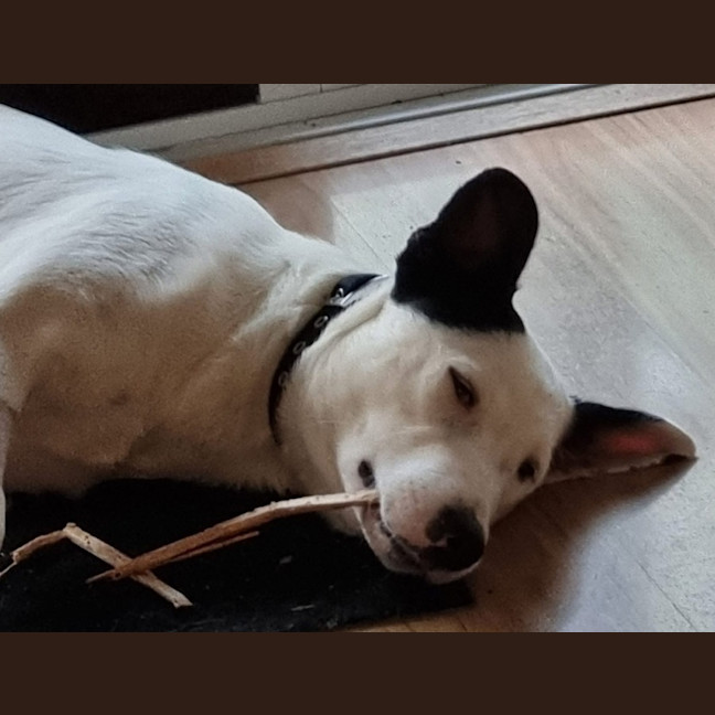 Photo of Izzy Uncut