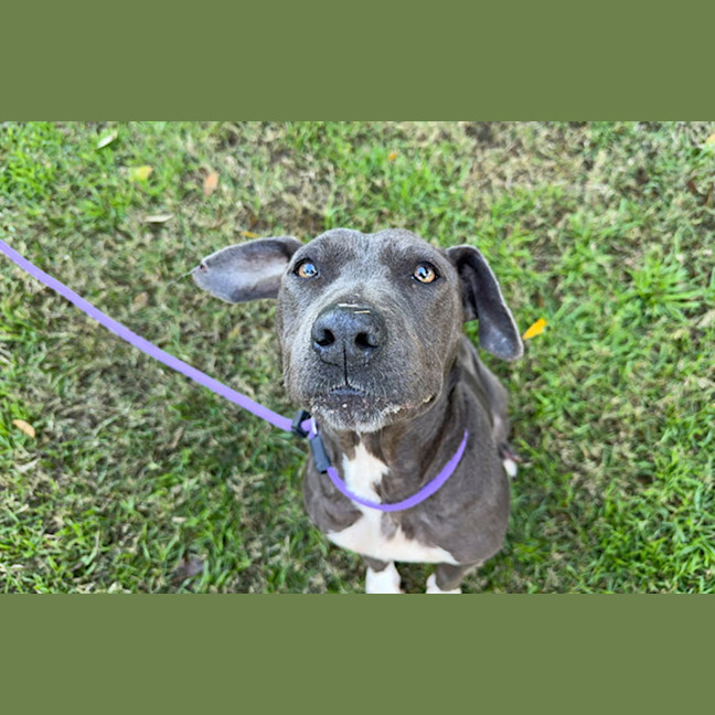 Photo of Rosie