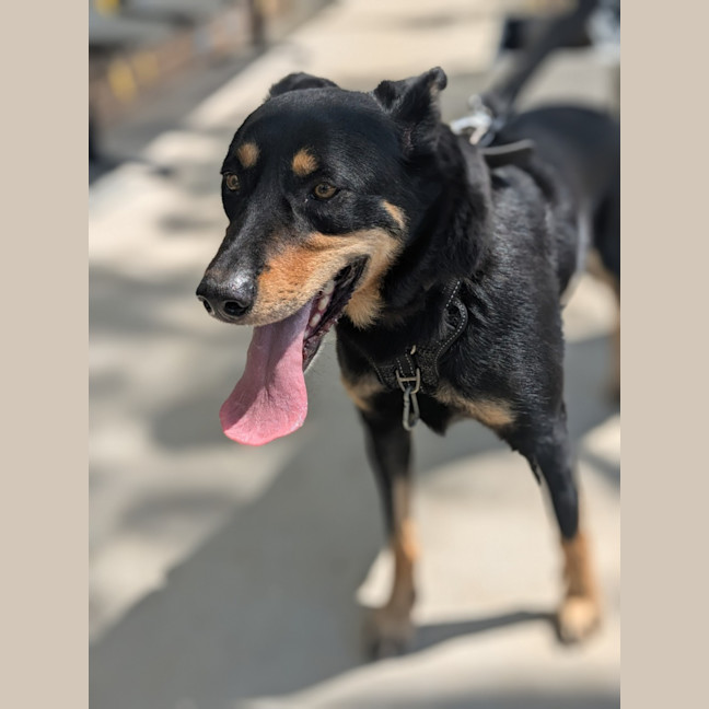 Photo of 🐻 Bear 6502 🐻