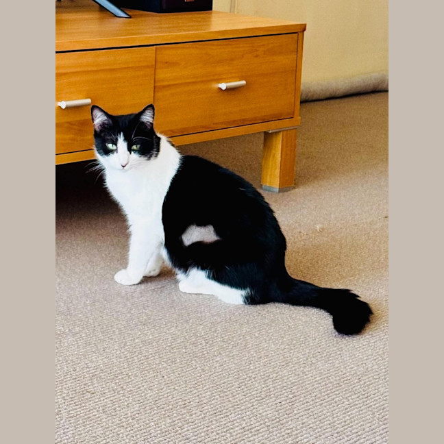 Photo of Mavis