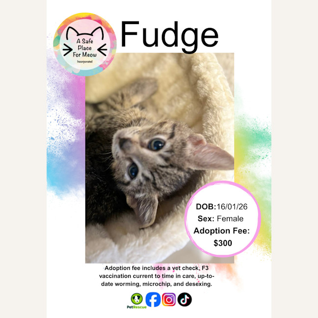 Photo of Fudge