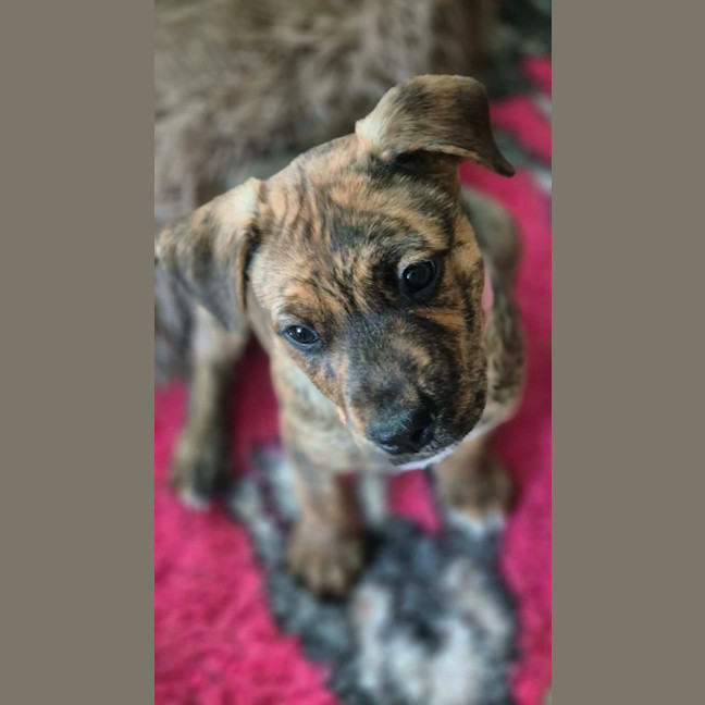 Photo of Sugar