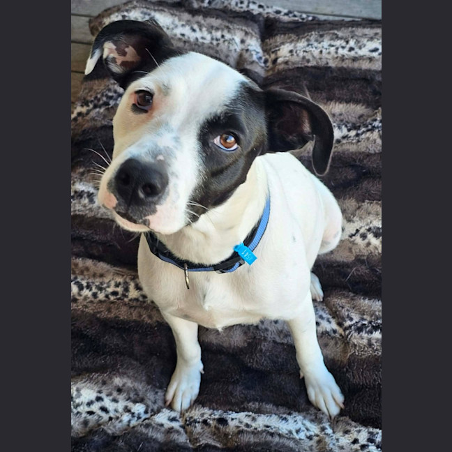Photo of Penny