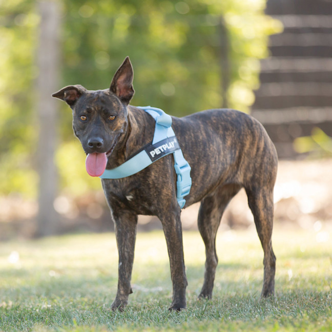 Photo of Maggie