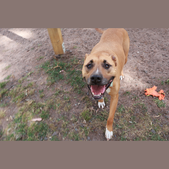 Photo of Penny