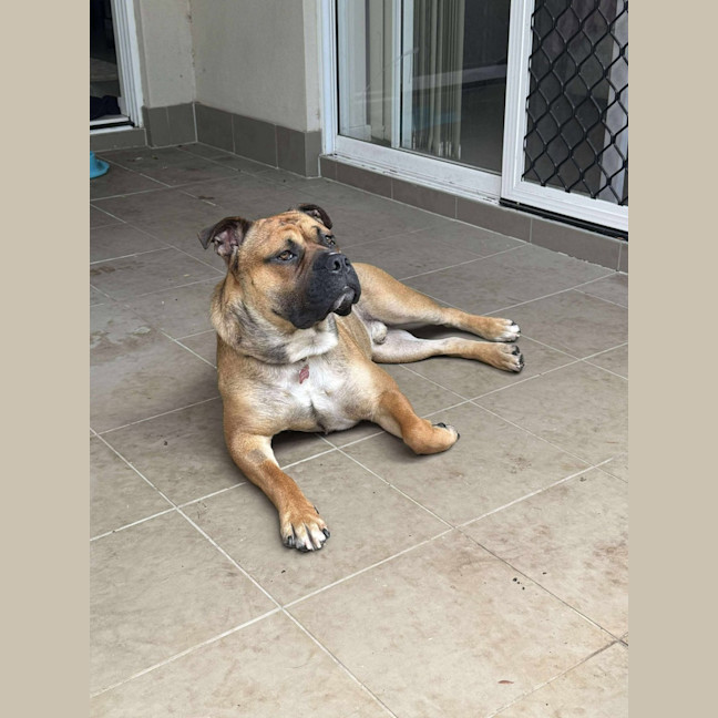Photo of Arlo