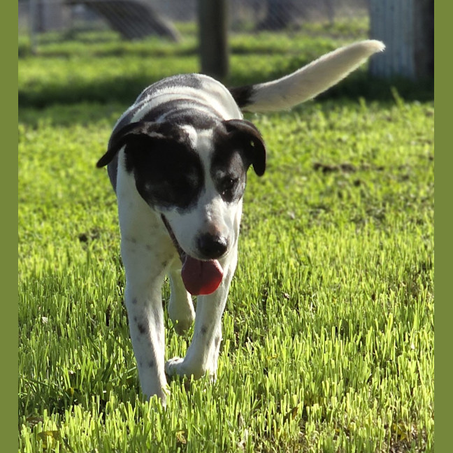 Photo of Tank