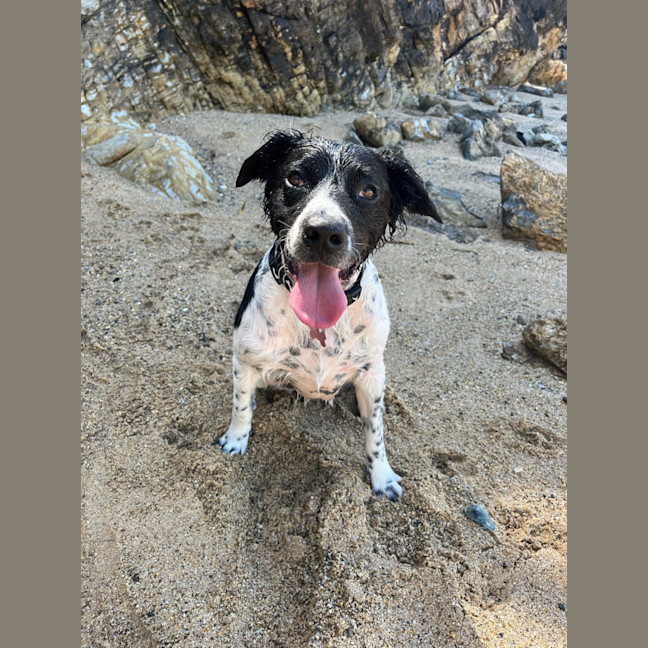 Photo of Lilly