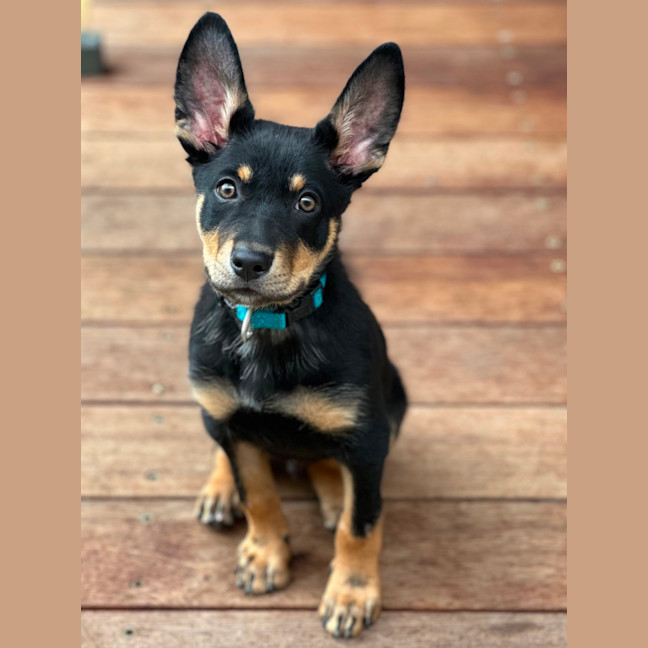 Photo of Timberglades