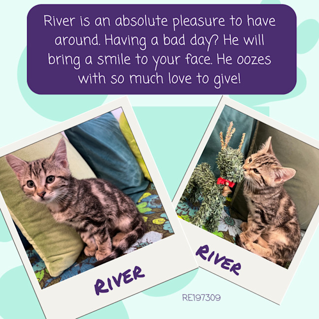 Photo of River