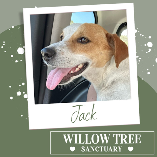 Photo of Jack 