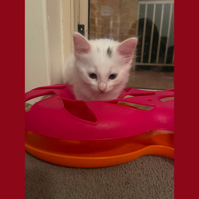 Photo of Minnie