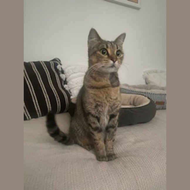 Photo of Tora