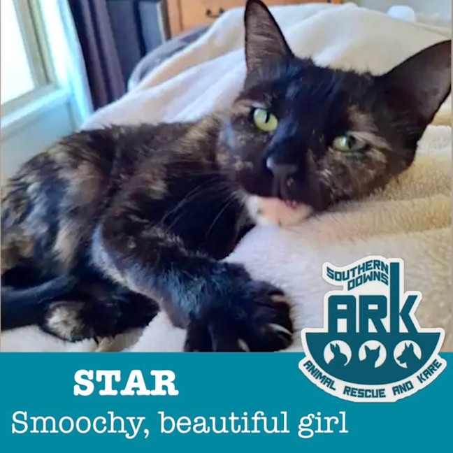 Photo of Star