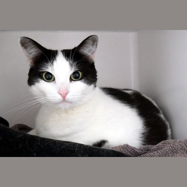 Photo of Abby Sua013076