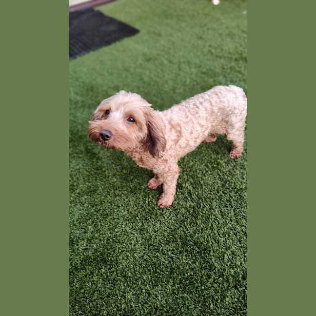 Photo of Maggie
