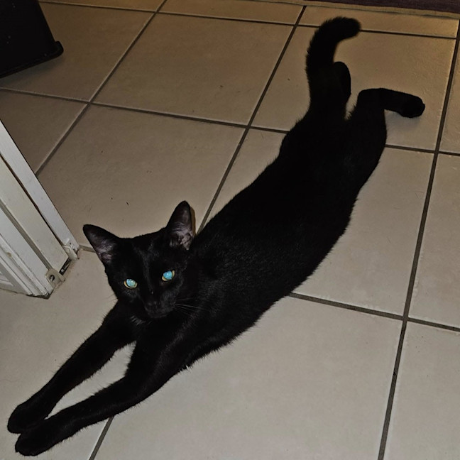 Photo of Halle Berry