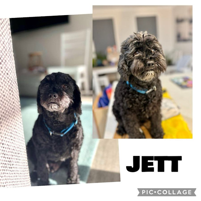 Photo of Jett
