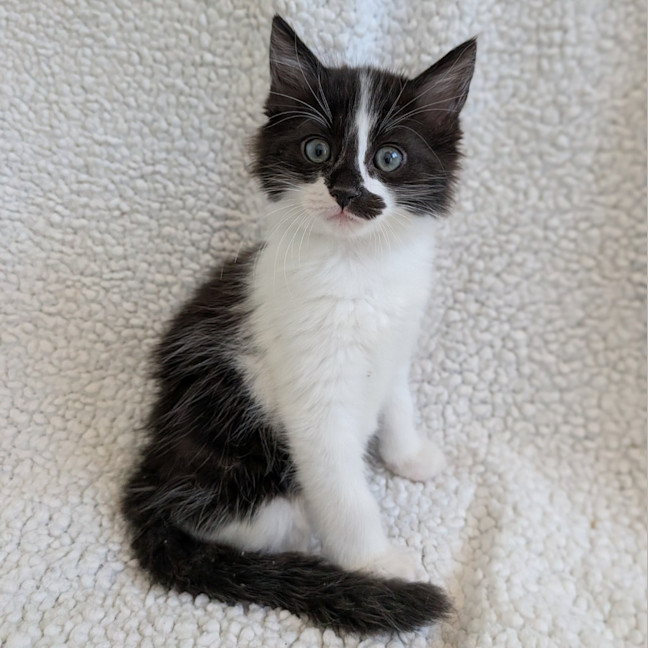 Photo of Jelly Beans