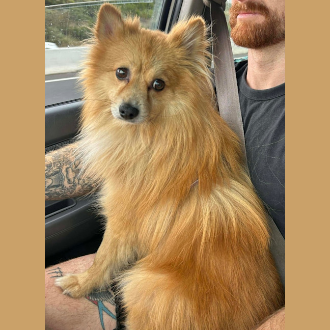 Photo of Teddy